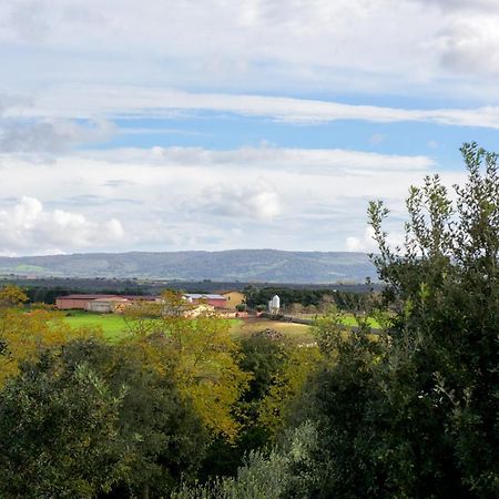 Agriturismo Nuragh'Elighe Sindia Exteriér fotografie