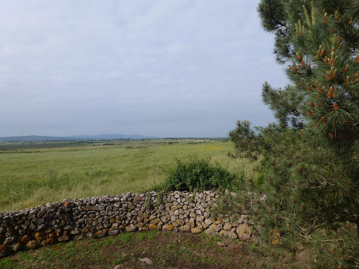 Agriturismo Nuragh'Elighe Sindia Exteriér fotografie