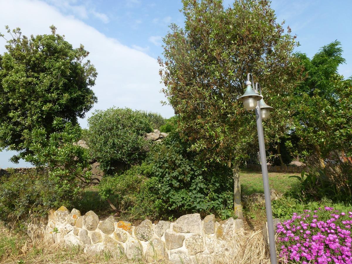 Agriturismo Nuragh'Elighe Sindia Exteriér fotografie